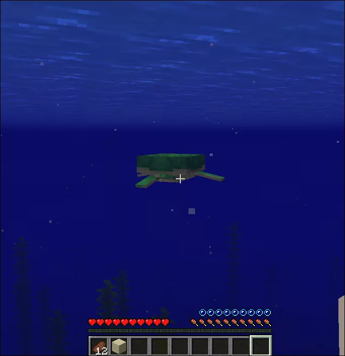 How to Breed Turtles in Minecraft